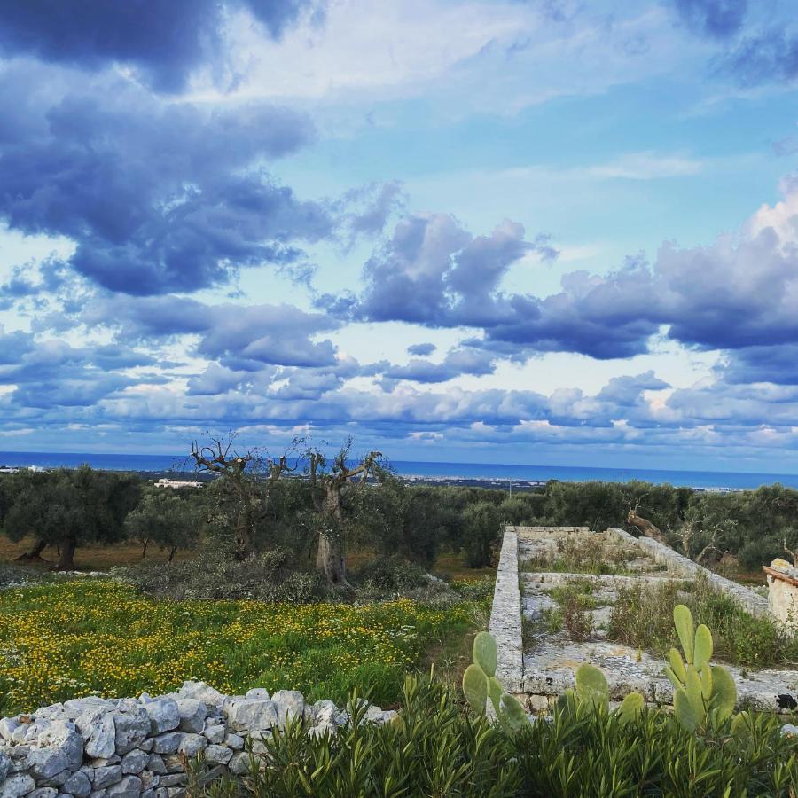 La Guendalina Masseria E Casa Particular Acomodação com café da manhã Monopoli Exterior foto