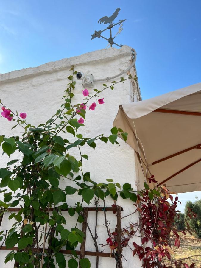 La Guendalina Masseria E Casa Particular Acomodação com café da manhã Monopoli Exterior foto
