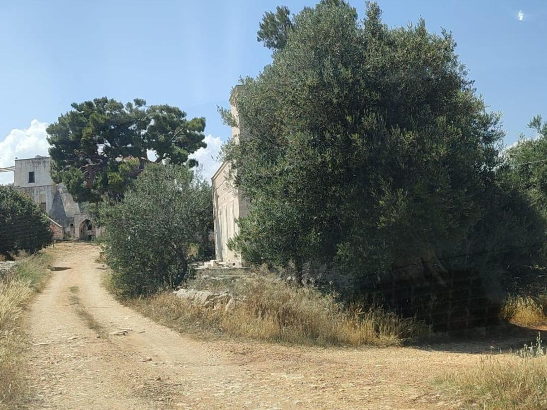 La Guendalina Masseria E Casa Particular Acomodação com café da manhã Monopoli Exterior foto